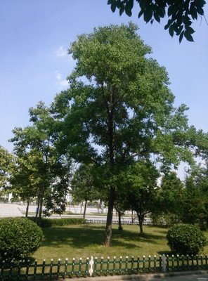 爱到极致是包容