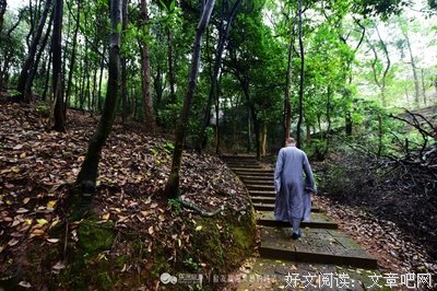 你当下就得到利益了，还期待什么以后？——古文殊寺重兴大殿莲花