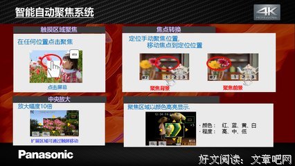 闯入者读后感10篇
