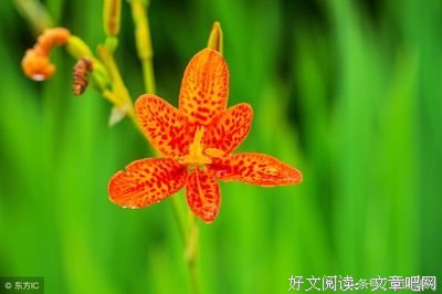 心直口快的人，最傻！