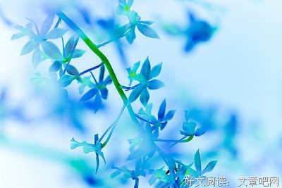 多少感情，都被这个字打败了