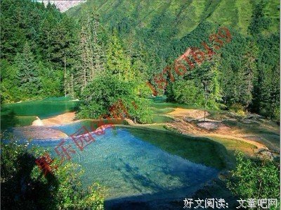实录故事：我做奶爸这一年