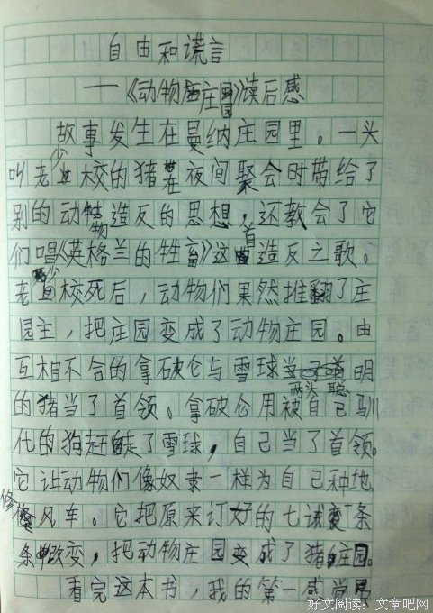 《被遗忘的动物们》读后感10篇