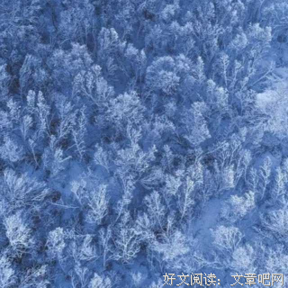 忘不掉的人就别忘了