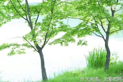 如果有一天，我去世了....