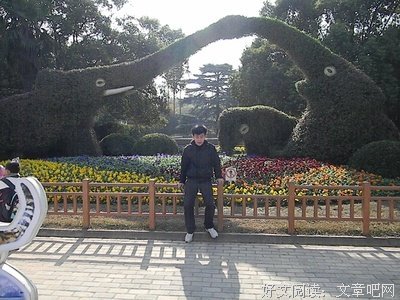 《扒手莫扎特》经典观后感10篇