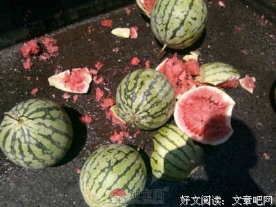 两口子分西瓜，看哭无数人！