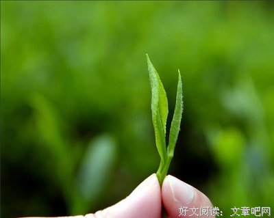 依然动听：天亮姐妹分享---苦难中的信心