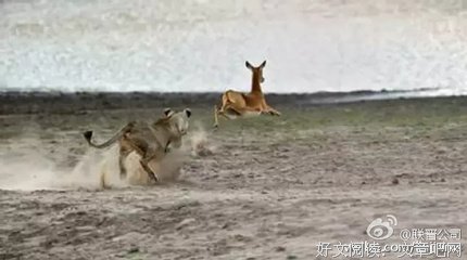 瓦伦的名句_关于瓦伦的名句