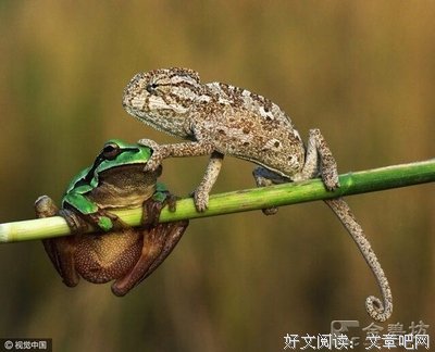 你丫闭嘴的优美句子