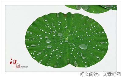 关于精进的格言