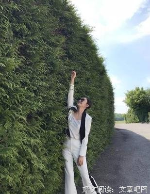 为什么大家都被「富察·秦岚」圈粉了？