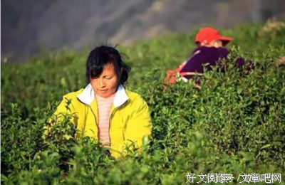 寡妇门前是非多，其实还有上半句，你知道是什么吗？