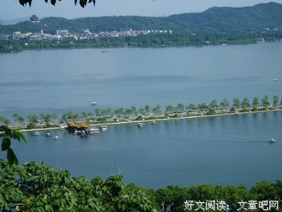 《冷峻的良心》的读后感10篇