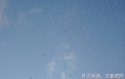 十三年前你在我肚子里，如今我要仰望你