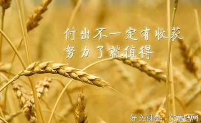 关于条龙名言名句