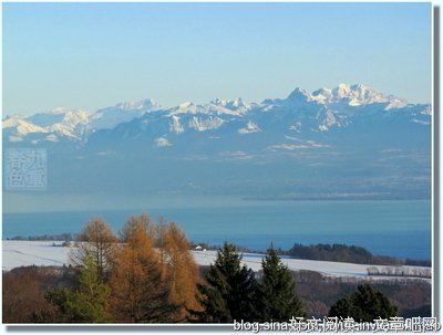 雪峰的名句