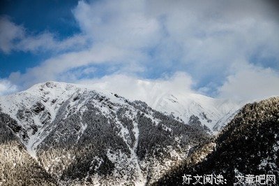 《星星说》下周引言（8.20——8.26）关注自己的意识形态，感觉，