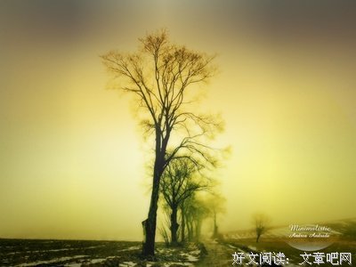 关山夺路读后感10篇