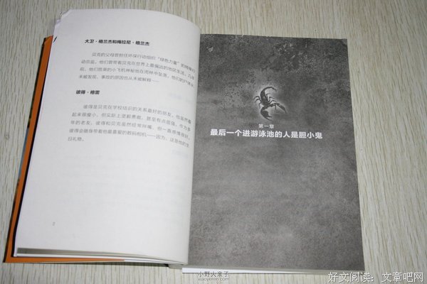 荒野经典读后感10篇