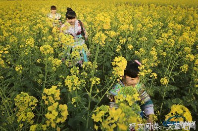 1900北京的春天有点乱的读后感10篇