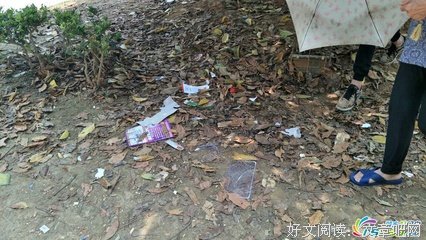 依然动听：董姐妹分享---牛皮癣被医治