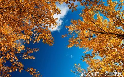 《夜思》经典影评10篇
