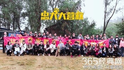 《忠犬大营救》观后感10篇