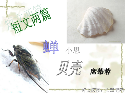 《海霞》经典影评10篇