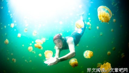 《董存瑞》的影评10篇