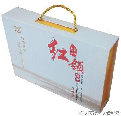红领读后感10篇