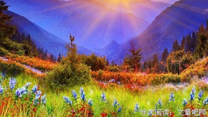 刘强东事件，竟意外曝光了美国警方一个有趣的秘密......