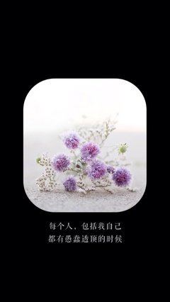 关于齐黑瞎的唯美语录