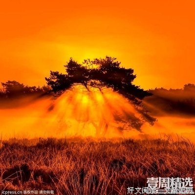 《人咬狗》观后感10篇