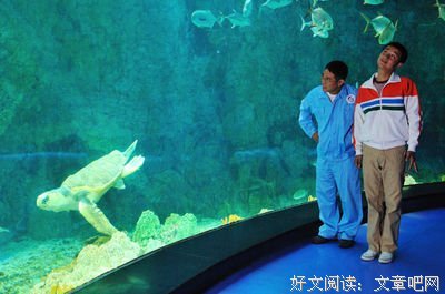 《我父我主》观后感10篇