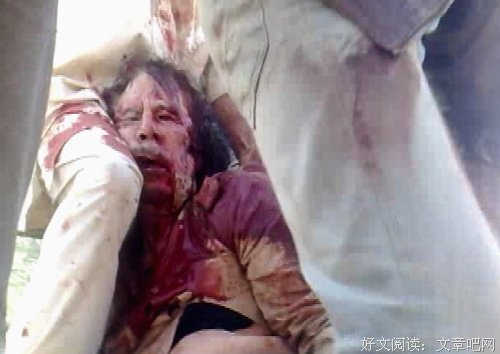 又疯又狂卡扎菲读后感10篇