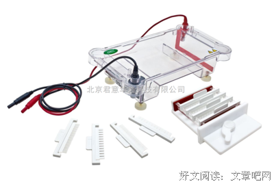 《核酸》经典句子