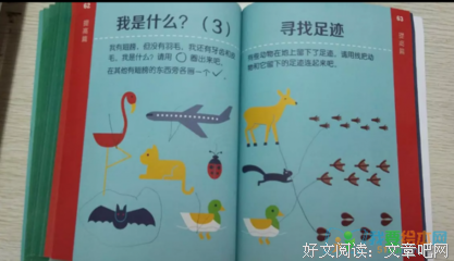 《开放》经典读后感10篇