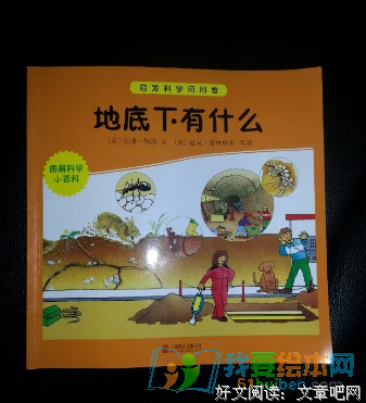 《认知与设计》读后感精选10篇