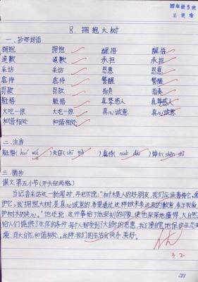 语文作业
