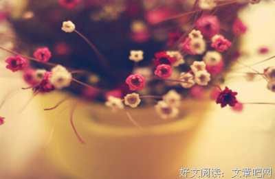 一便外可万年的优美句子