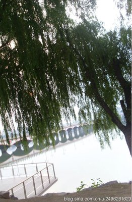 博文001读后感10篇