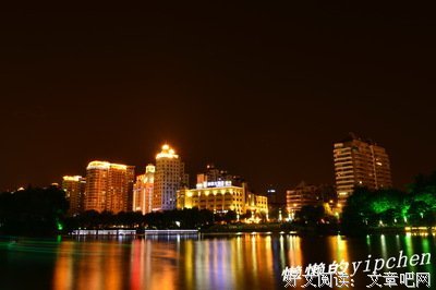 《光之鹤》经典读后感10篇