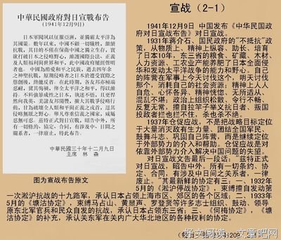 蒋介石的人际网络经典读后感10篇