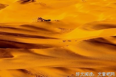 最全的《沙海》佳句摘抄