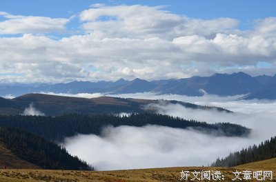 消失读后感10篇