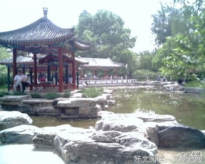 《我与八十年代》经典读后感10篇