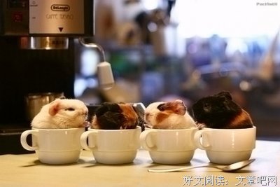 15条关于适中的经典语句