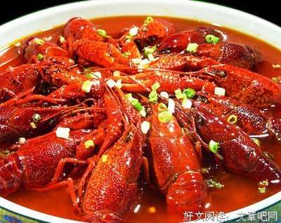 关于小马的名言