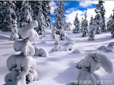 最全的《蛙》经典句子